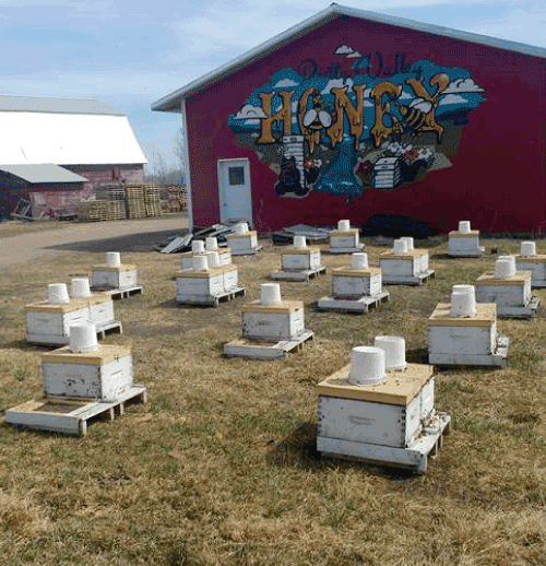 SwanValleyTourism-honey